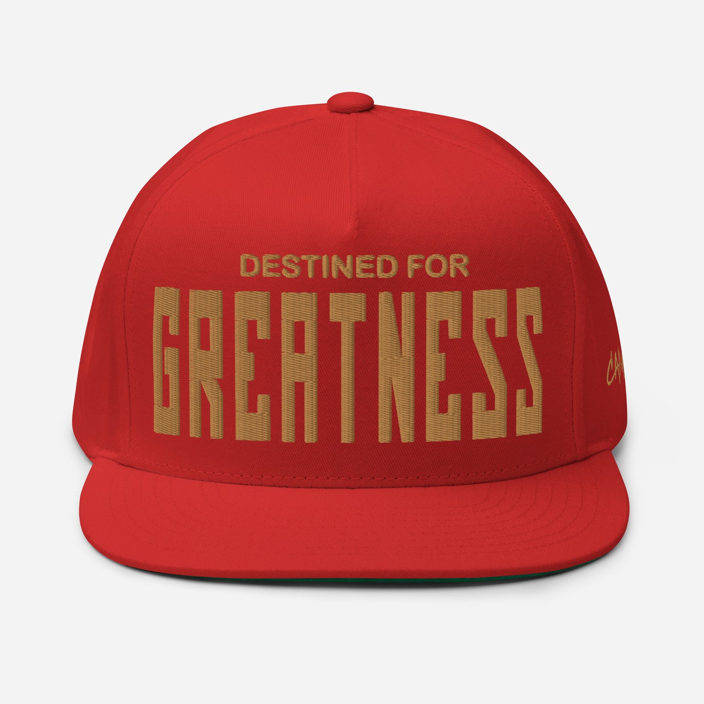 destined for GREATNESS Snapback Camuna